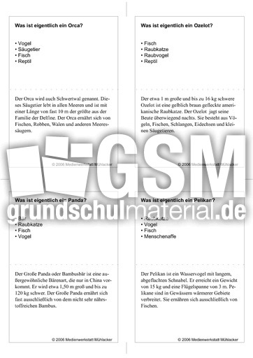 Quiz-Karten-Tiernamen 17.pdf